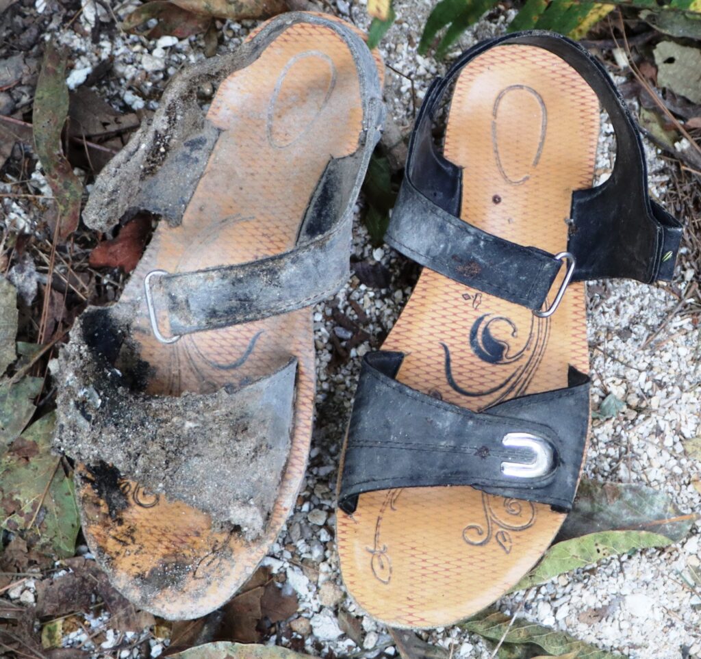 334142128 722242339449610 3209697512352603995 n